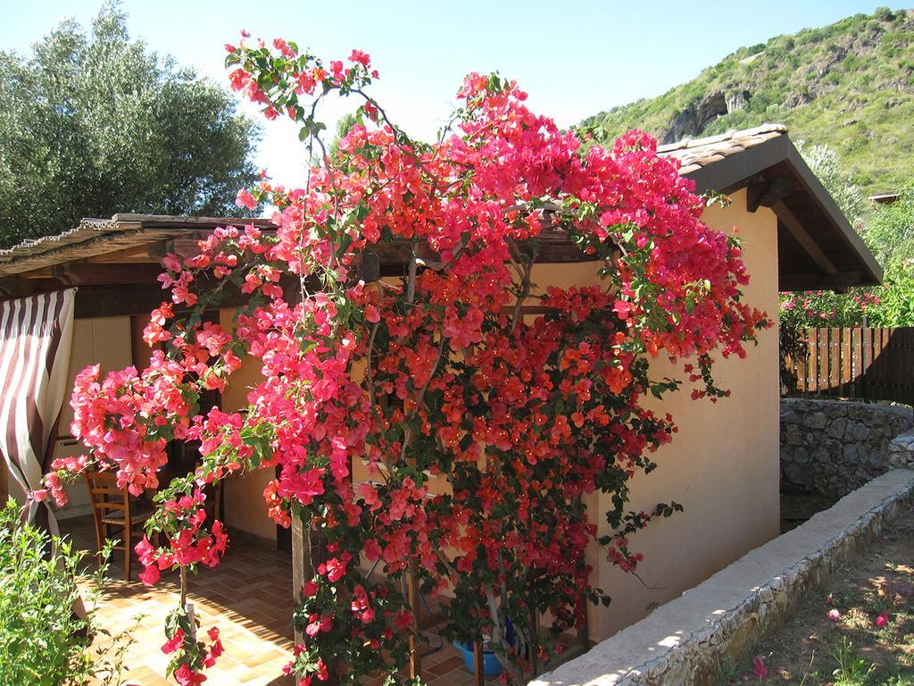 מרינה די קמרוטה Family Resort Cala Di Luna מראה חיצוני תמונה