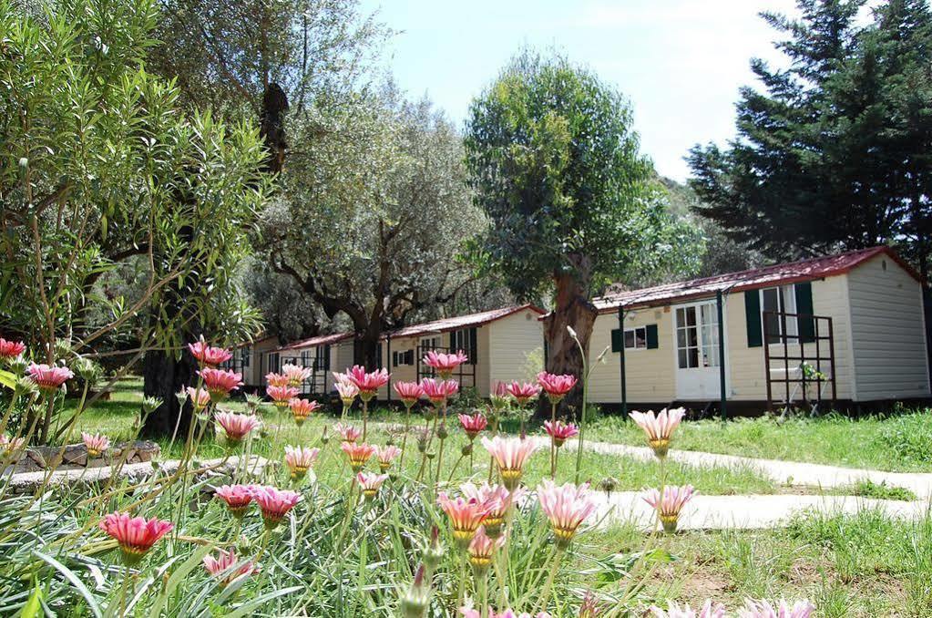 מרינה די קמרוטה Family Resort Cala Di Luna מראה חיצוני תמונה